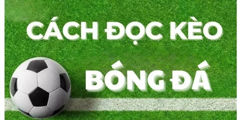 Hướng dẫn cách đọc kèo tài xỉu 0.75 là gì chuẩn 100%