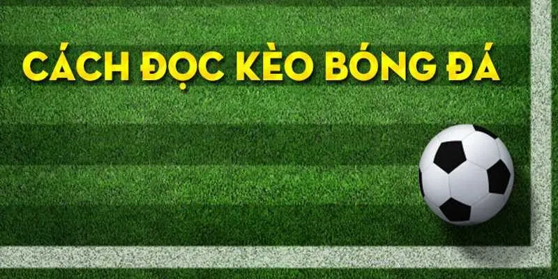 Phương pháp đọc kèo chấp 1/1.5 hiệu quả